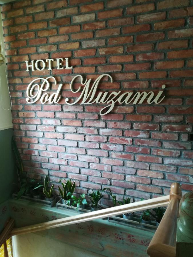 Noclegi Pod Muzami 波莫瑞地区卡缅 外观 照片
